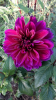 800x600-1714124965398_Screenshot_20240426-122934.png