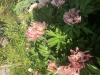 800x600-1714372487667_IMG_4688.jpeg
