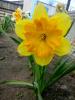 800x600-1556548665349_viberimage2019-04-28_14.12.12.jpg