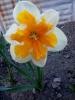 800x600-1556548840423_viberimage2019-04-28_14.12.19.jpg