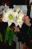 800x600-1644753422101_DSC_5159-_.jpg