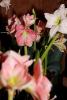 800x600-1644757535450_DSC_5166.jpg