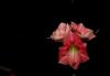 800x600-1644757535861_DSC_5210.jpg