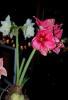 800x600-1644759663962_DSC_5076-_.jpg