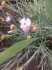800x600-1559633856551_IMG_20190604_080905.jpg