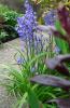 800x600-1623970810224_17.6BlueFestival.jpg