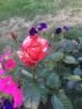 800x600-1564143307112_IMG-17878abc2cfb462d99f8edc5dd43b048-V.jpg