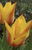 800x600-1652338464129_Screenshot_20220512-095234.png
