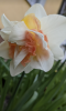 800x600-1652339139354_Screenshot_20220512-100525.png