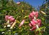 800x600-1714405145396_IMG_20200822_175509.jpg