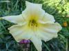800x600-1721200323712_PXL_20230805_083426991.jpg