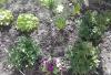 800x600-1721216646948_20240417_132339.jpg