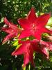 800x600-1546957527243_IMG_2018-07-06_123038.jpg