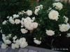 800x600-1586805844818_IMG_2019-06-13_203056_1_.jpg