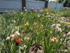 800x600-1552389396656_IMG_2018-05-27_113818.jpg