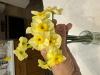 800x600-1715006174151_IMG_0692.jpeg
