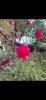 800x600-1762502752373_1000012156.jpg