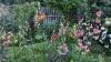 800x600-1739167738361_PXL_20240602_175138859.jpg