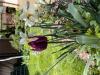 800x600-1721034898438_IMG_6675.jpeg