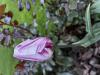 800x600-1721034899975_IMG_1318.jpeg