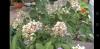 800x600-1628417680602_Screenshot_20210808-131139.jpg