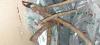 800x600-1733492909244_20241206_145205.jpg