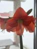 800x600-1772357305684_IMG_8490.jpeg