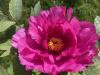 800x600-1684413170500_IMG_5662.jpeg