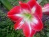 800x600-1643294458482_IMG-20220127-WA0026.jpg