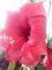 800x600-1643295546959_IMG-20220127-WA0015.jpg