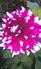 800x600-1517760882326_IMAG1264.jpg