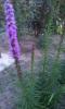 800x600-1517767787501_IMAG1138.jpg