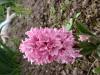 800x600-1713432810109_IMG_20240411_165816794_HDR.jpg