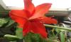 800x600-1611444981614_20170318_170636.jpg
