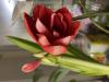 800x600-1640763676473_74C3D643-406F-4253-B697-2B291345E3A5.jpeg