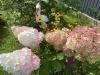 800x600-1730383013637_IMG_0575.jpeg