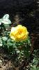 800x600-1602683390395___viber_2020-06-28_10-06-33.jpg