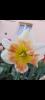 800x600-1652382223983_Screenshot_20220512-215536_Gallery.jpg