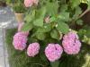 800x600-1787985382460_IMG_9874.jpeg