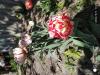 800x600-1652215353966_IMG_20220505_110250.jpg