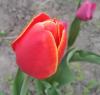 800x600-1652353456682_IMG_20220512_123641.jpg
