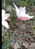 800x600-1652354721962_IMG_20220512_133902.jpg
