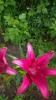 800x600-1719249819396_IMG_7486.jpeg