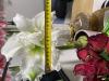 800x600-1715707838657_IMG_6974.jpeg