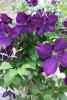 800x600-1645318786328___2022-02-20_025930.png