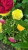 800x600-1626381273332_IMG_20210701_102859.jpg