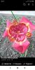 800x600-1586032337860_Screenshot_2020-04-04-23-17-22-847_com.facebook.katana.jpg