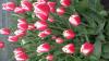 800x600-1588491430136_20200503_062338.jpg
