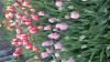 800x600-1588491430879_20200503_062305.jpg