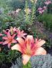 800x600-1689408316350_Screenshot_20230715_105819.jpg